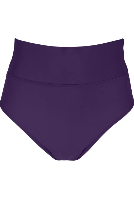 Sunsets Paradise Plum Hannah High Waist Bottom< High-Waist | Bikini Bottoms