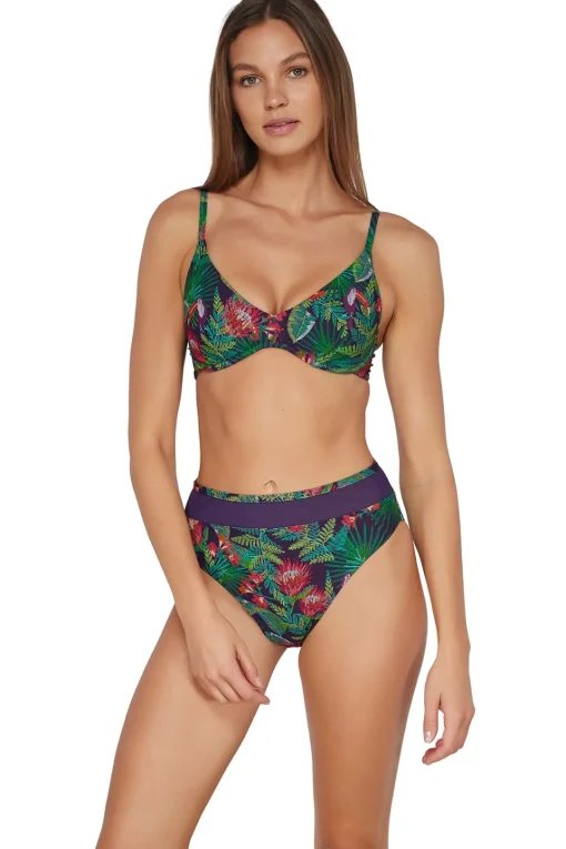 Sunsets Welcome To Rio Annie High Waist Bottom< Plus Size | High-Waist
